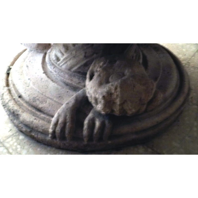 unlike the other two this one does not resemble a lion at all
