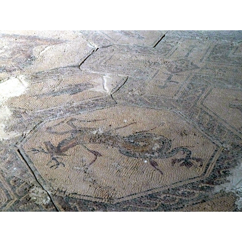 a Roman mosaic attests to the age of the original building beneath the present cathedral -- Source caption: "Restos de mosaicos romanos que recuerdan la antigüedad de Sasamón cuando en el siglo I a.C. estableció en ella una legión para la lucha contra los pueblos cántabros."