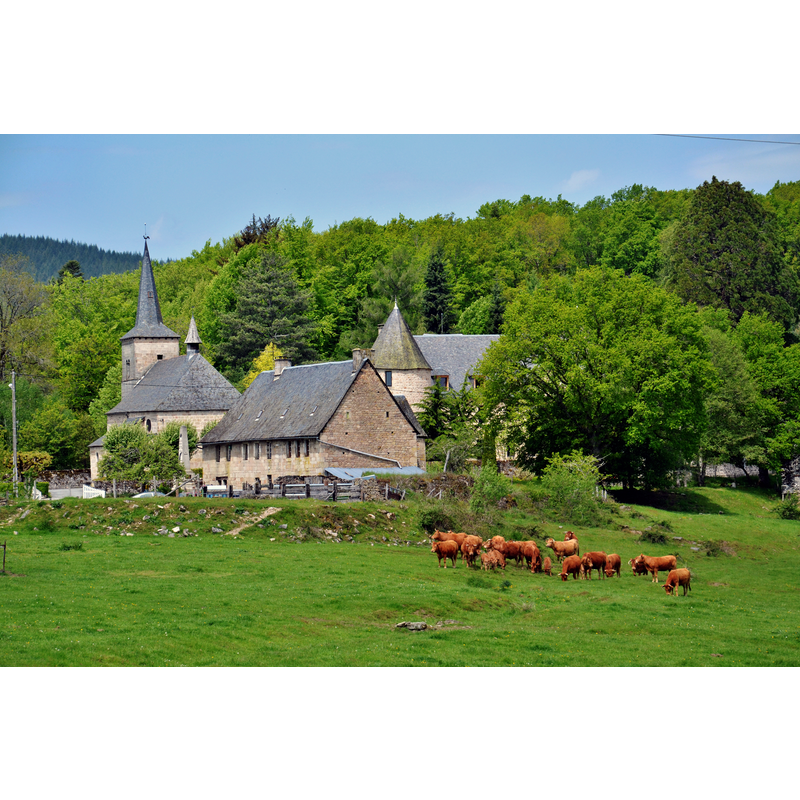 Main image for Davignac / Davinhac