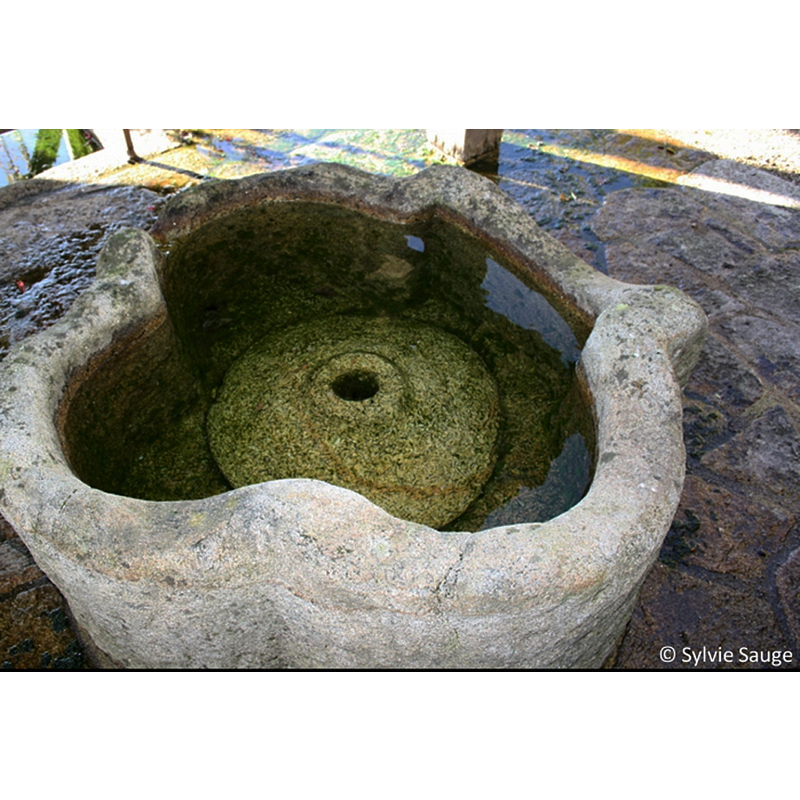 an interesting medieval (?) 'lavoir' basin