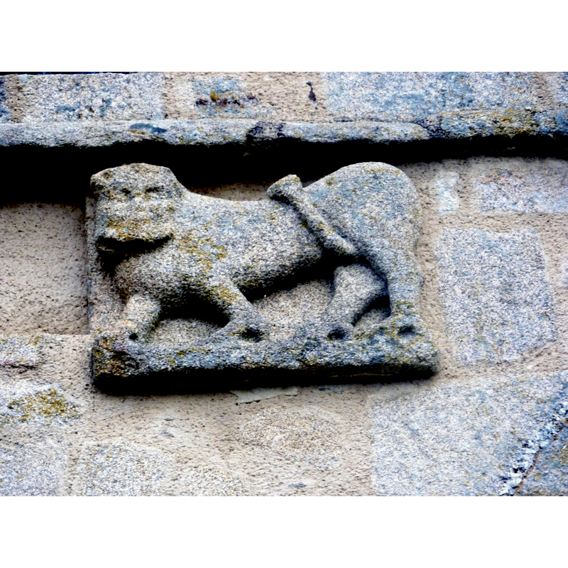 one of the two granite lions above the west portal: south side