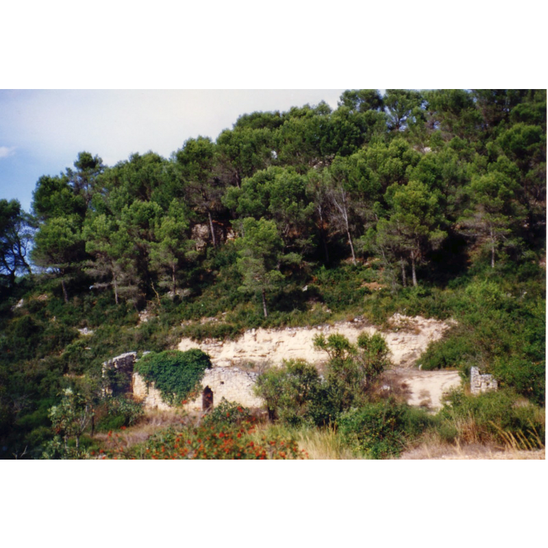 Main image for Montesquiu