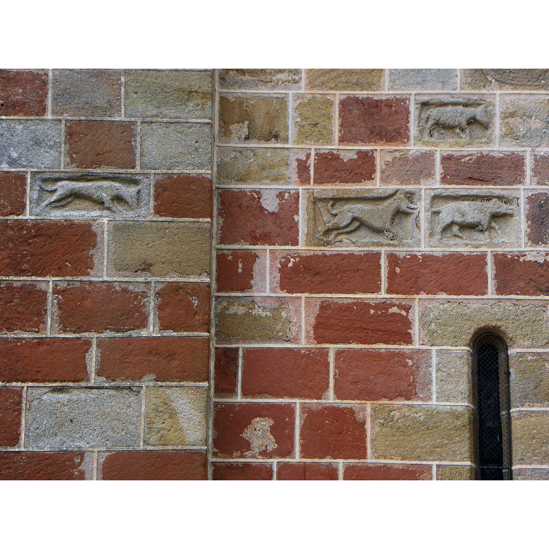 Main image for Agonges / Agongia / Agongiis / Agongis / Anonges