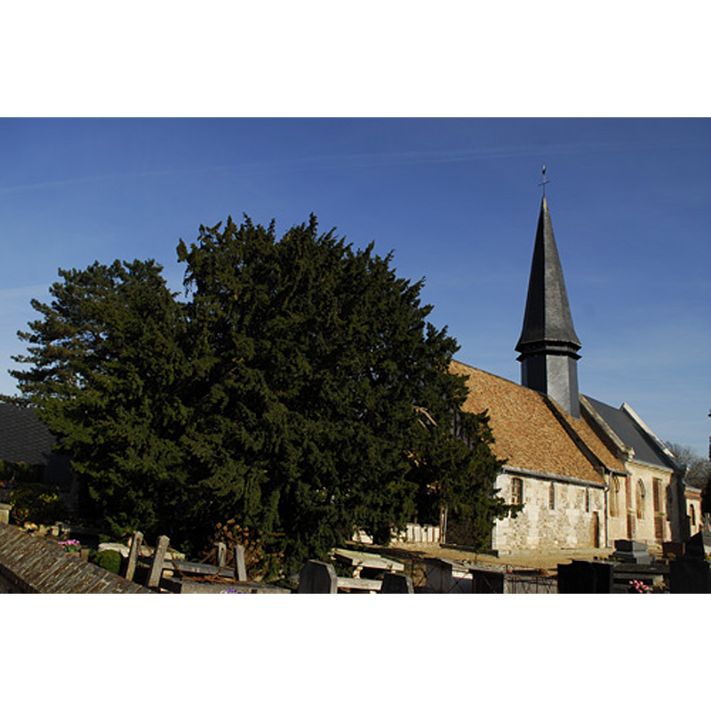 Main image for Gouy nr. Rouen / Goy / Goiacus