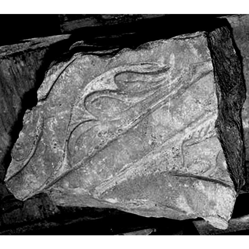 partially visible; bottom right