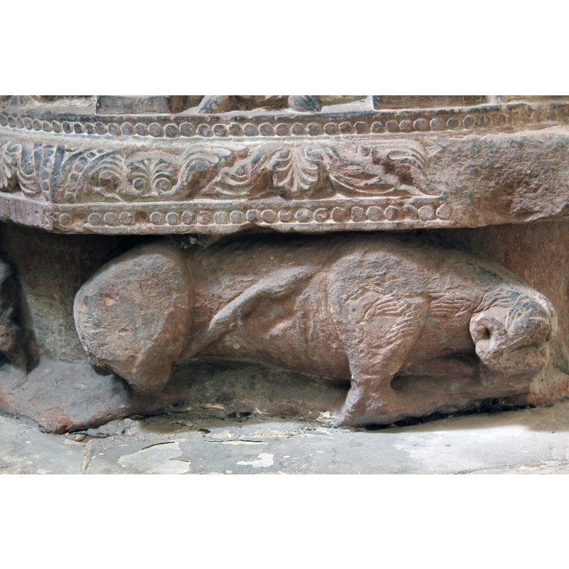 the fourth lion of the base