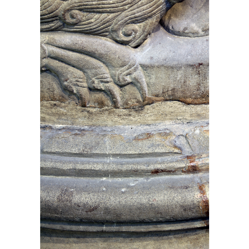 a close-up detail of the lion's beautifully rendered mane and claw