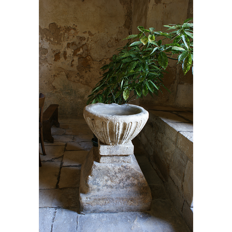Main image for Agris / Agresio / Agrisio