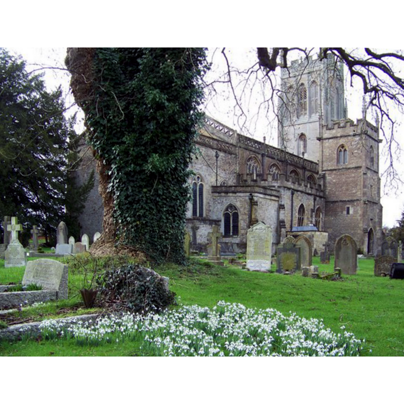 Source caption: "St Mary's has two towers, that alongside the north aisle being a hundred years older than the west tower of 1449-1456. The west tower in 104 feet high and is a fine example of a Somerset tower. It houses a peal of six bells."