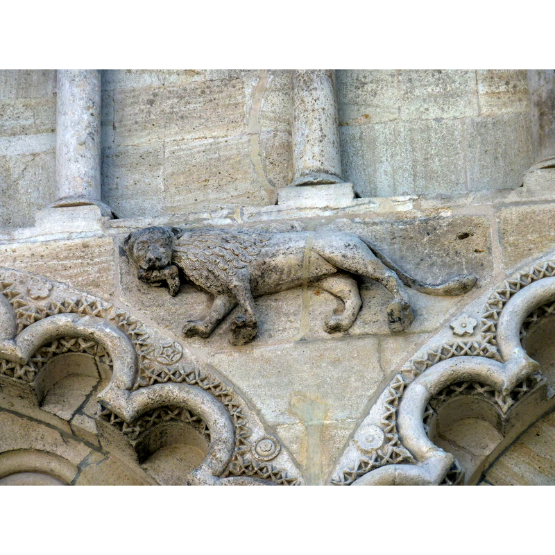 non-chalantly passant with what appears to be someone's foot in its mouth