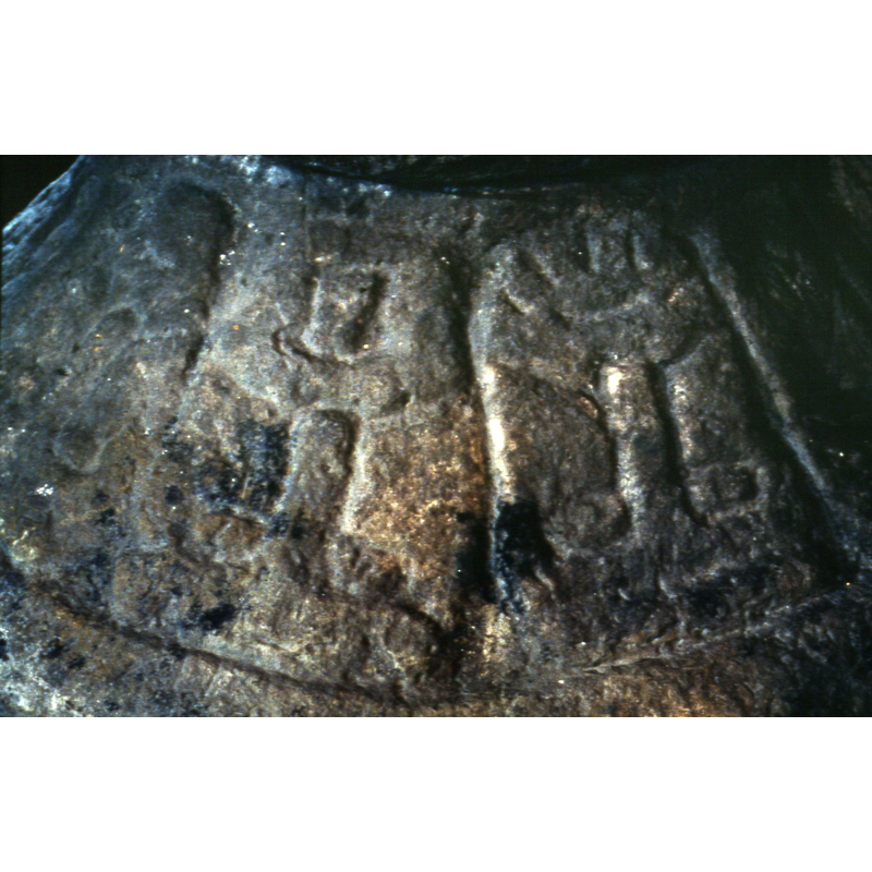 several, upside down; very eroded