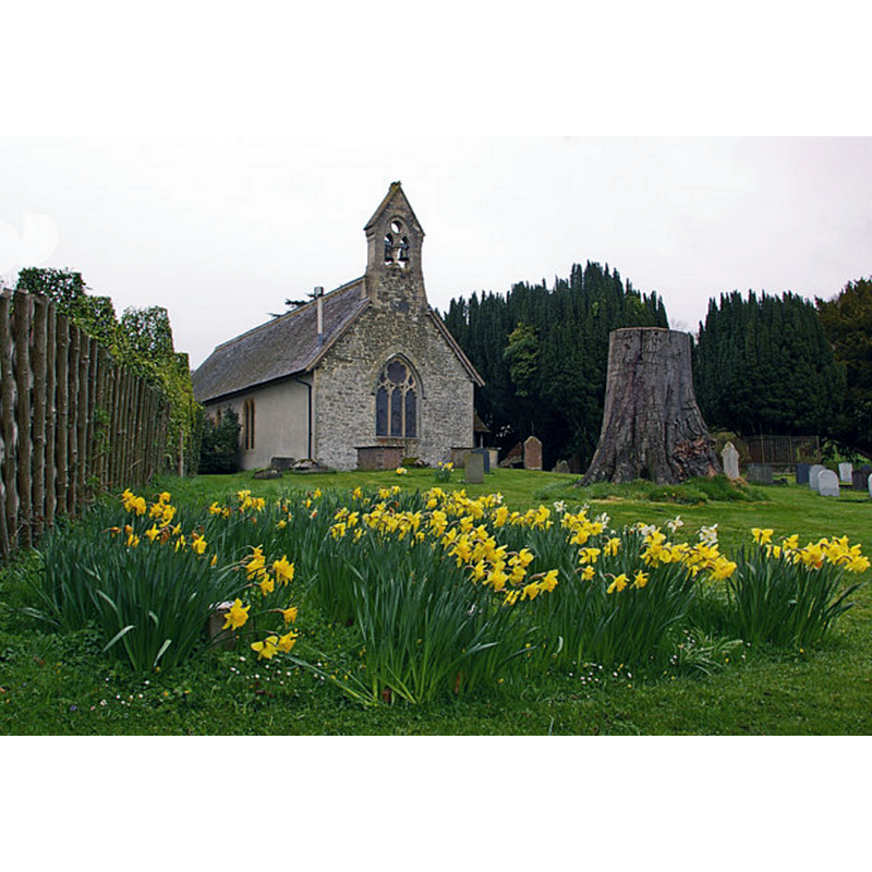 Source caption: "St Mary's Church, Elton. Grade II church originally dating from the 12th century with 13th century alterations, restored in 1876. "