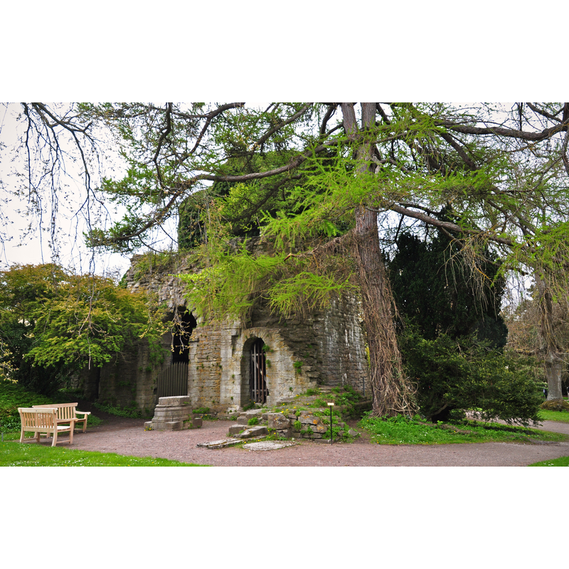 Source caption: "S:t Olof är en kyrkobyggnad (ruin) i Visby i Visby stift. Den finns i Botaniska trädgården (Botan) i Visby på Gotland."