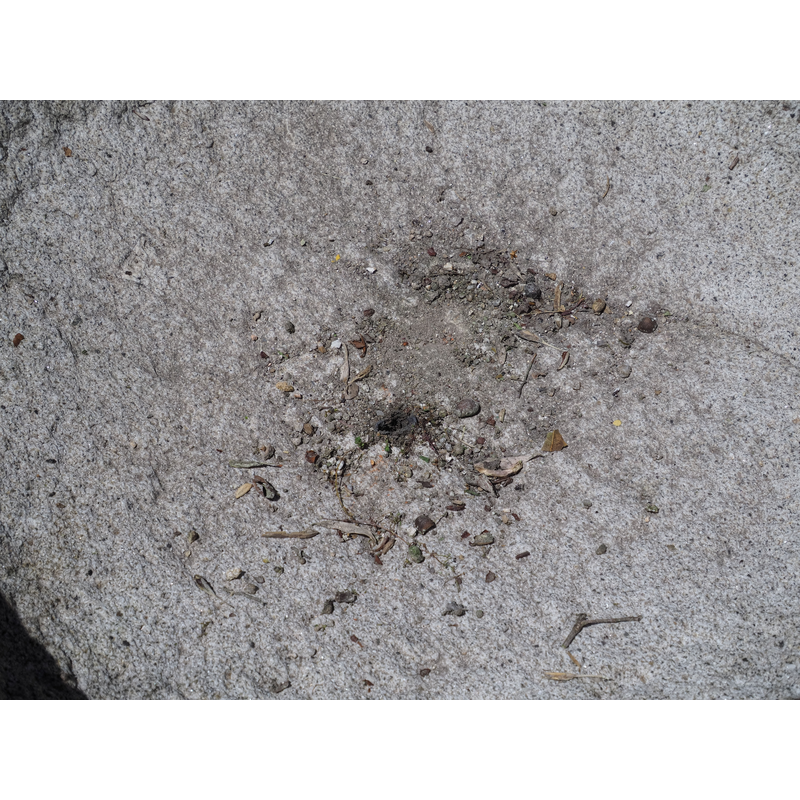 the blocked drain hole
