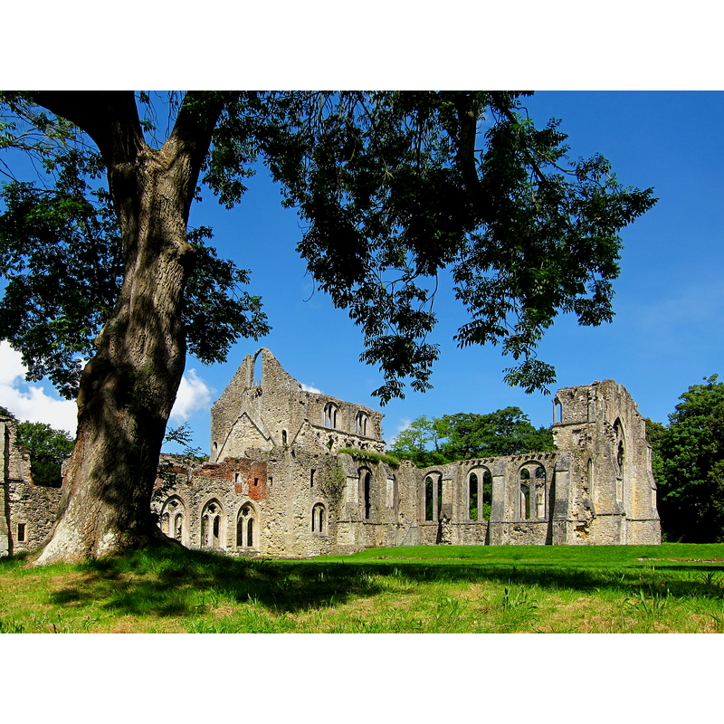 ruins of the abbey church