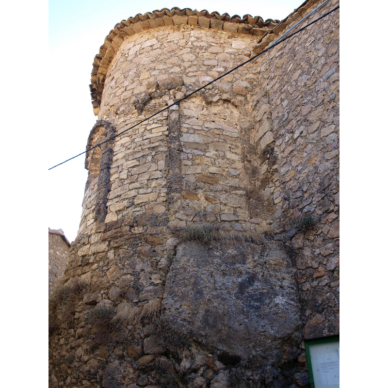 Main image for Alzina d'Alinya/ Alzina d'Alinyà
