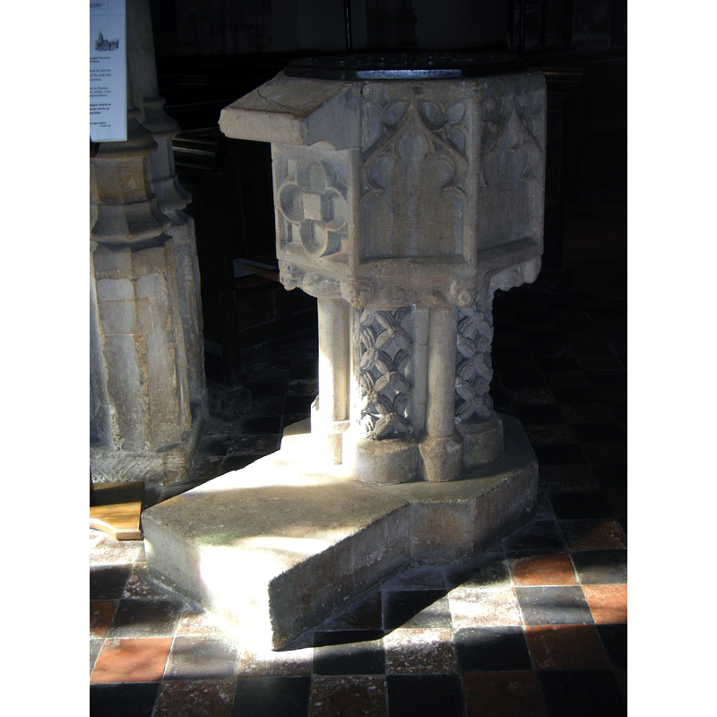 the appendage is visible in this photograph