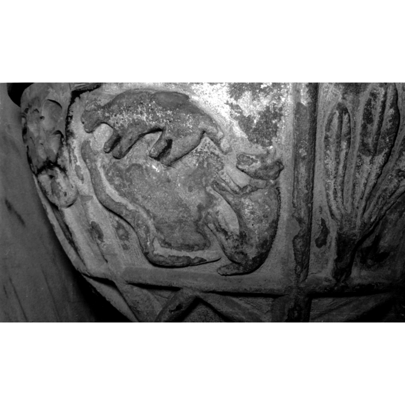 Source caption: "Detalle de la decoración de la copa de la pila bautismal de estilo gótico; presenta una escena de relieve muy plano con dos perros luchando contra una serpiente".