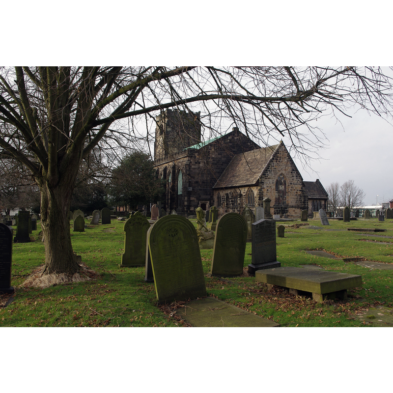 Main image for Leyland / Lailand / Leiland / Leilaund / Leylond