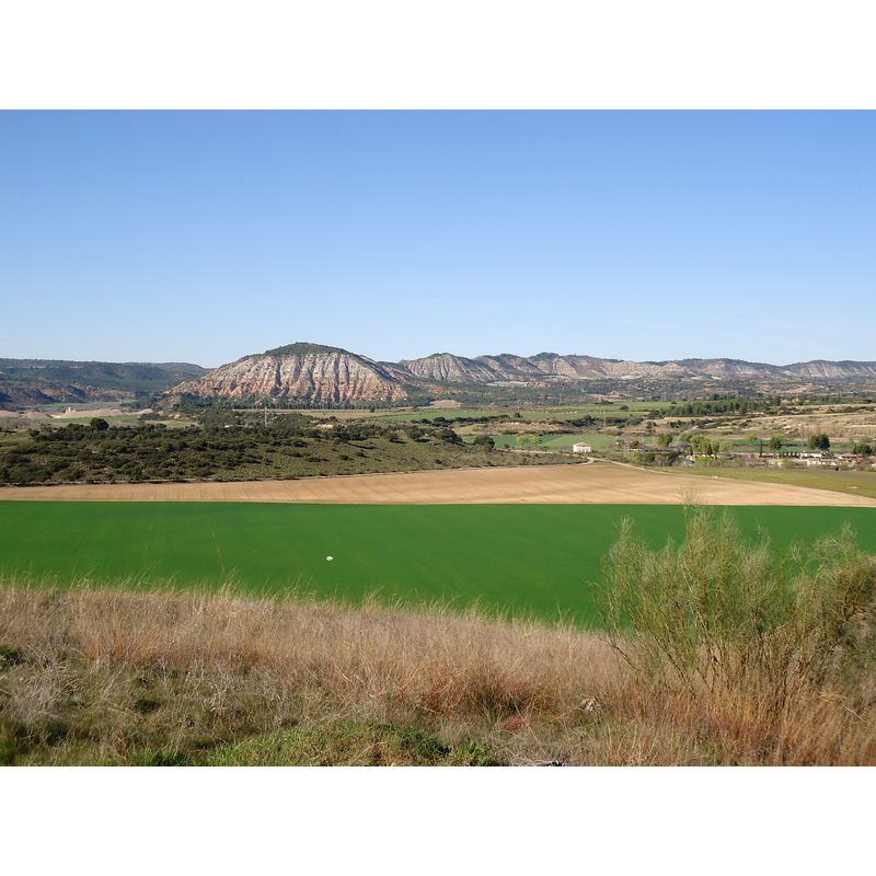 the area around the archaeological site