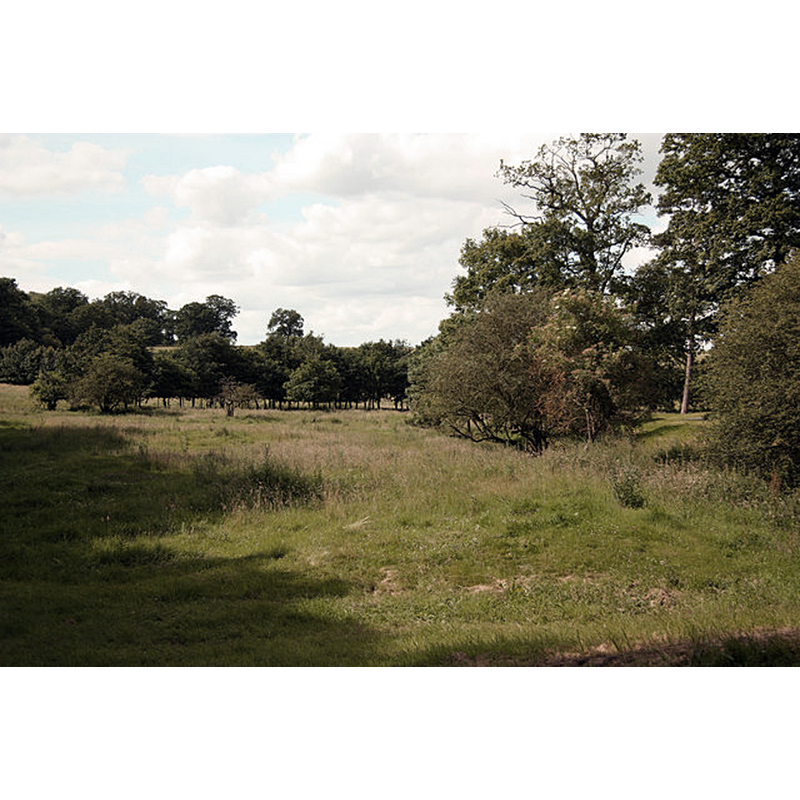 Main image for Vaudey Abbey / De Valle Dei / Vallis Dei / Vandey Abbey / Vandy Abbey