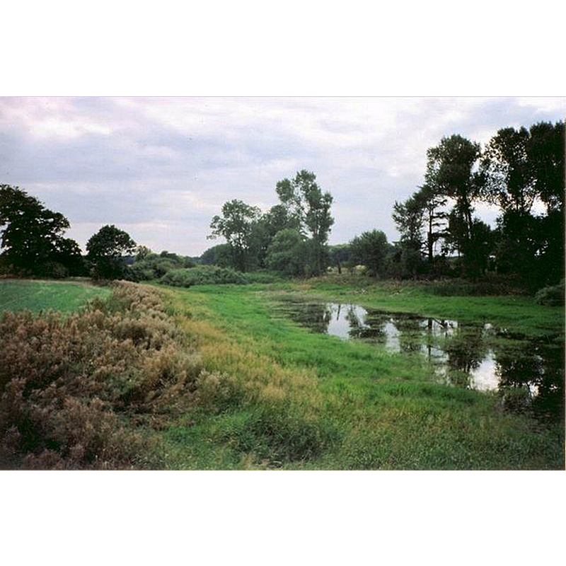 Main image for Newsham / Newhouse / Newsome