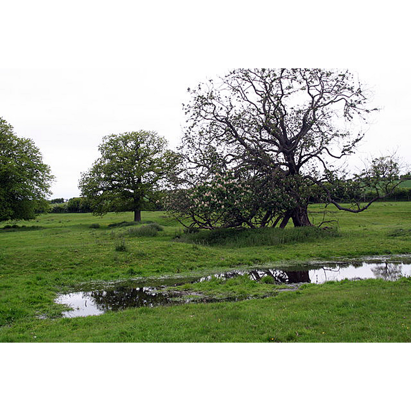 Main image for Orford nr. Stanton-le-Vale / Irford / Erforde