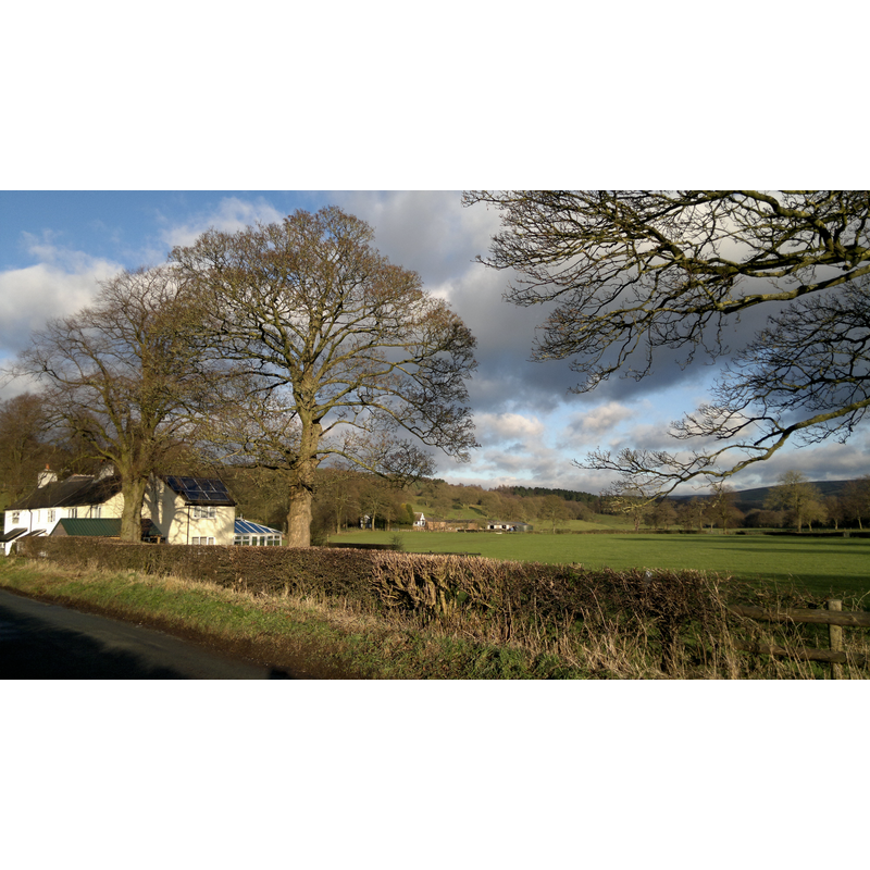 Main image for Dieulacres Abbey / Deulencres / Dieu-la-Cres Abbey