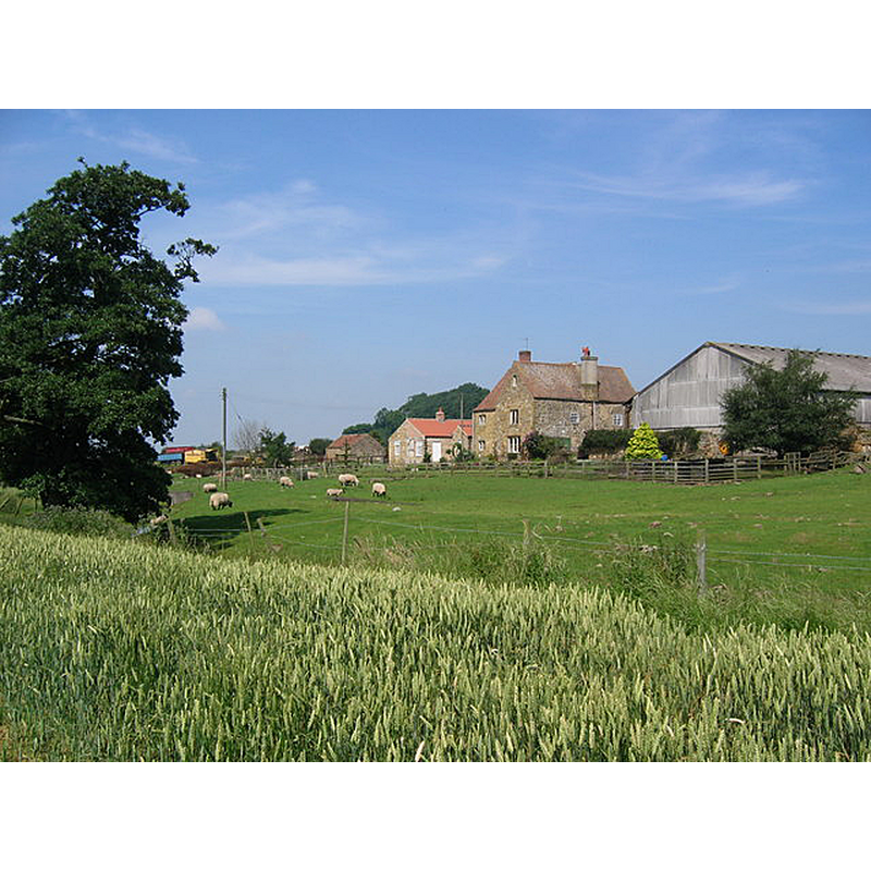 The entry for Hood Grange in Historic England [www.pastscape.org.uk/hob.aspx?hob_id=57371] [accessed 7 October 2019] notes: "Farmhouse, built on site of former hermitage, known to have existed before 1138. All that now remains of the hermitage are two window heads and stone coffins, built into the walls of a barn."