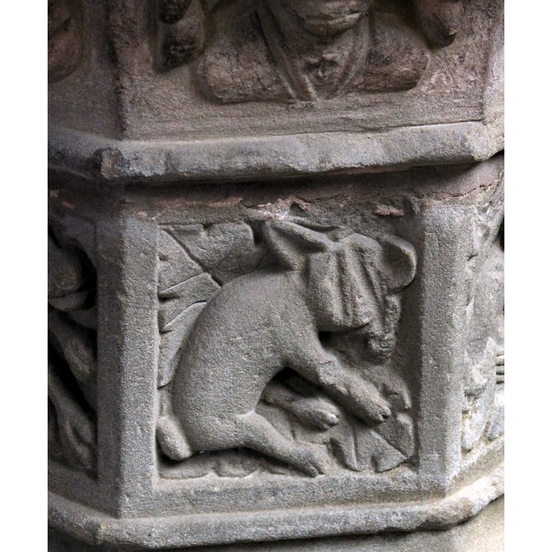 tail and paws appear rabbit like; the face is damaged