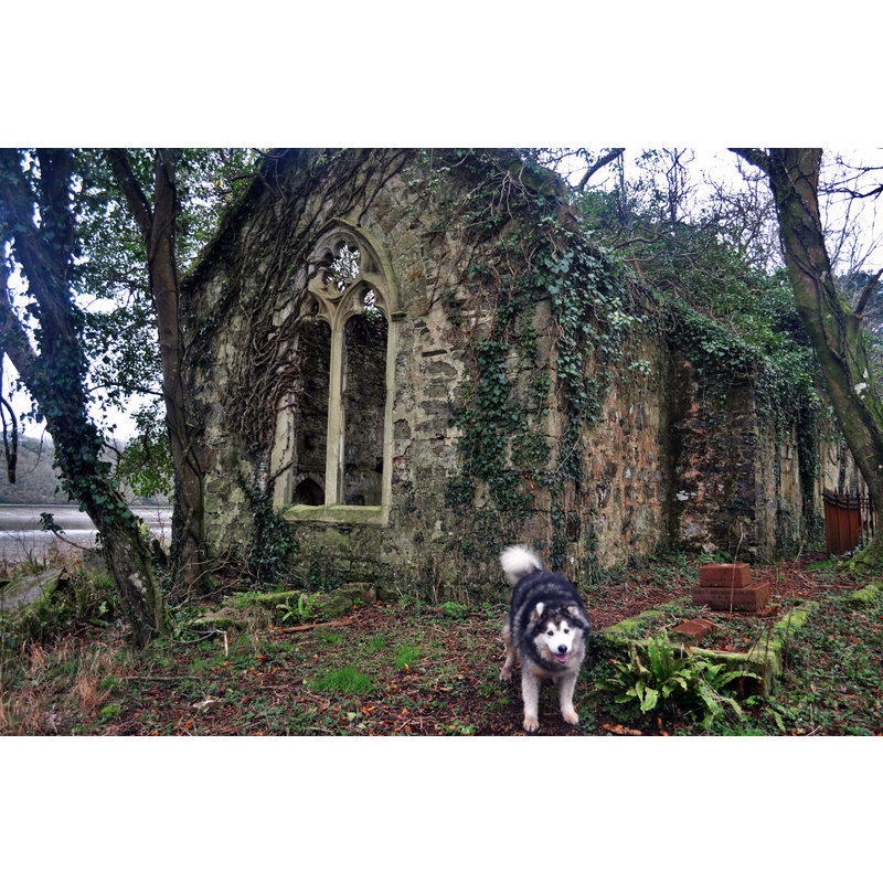 Main image for Boulston / Bulston