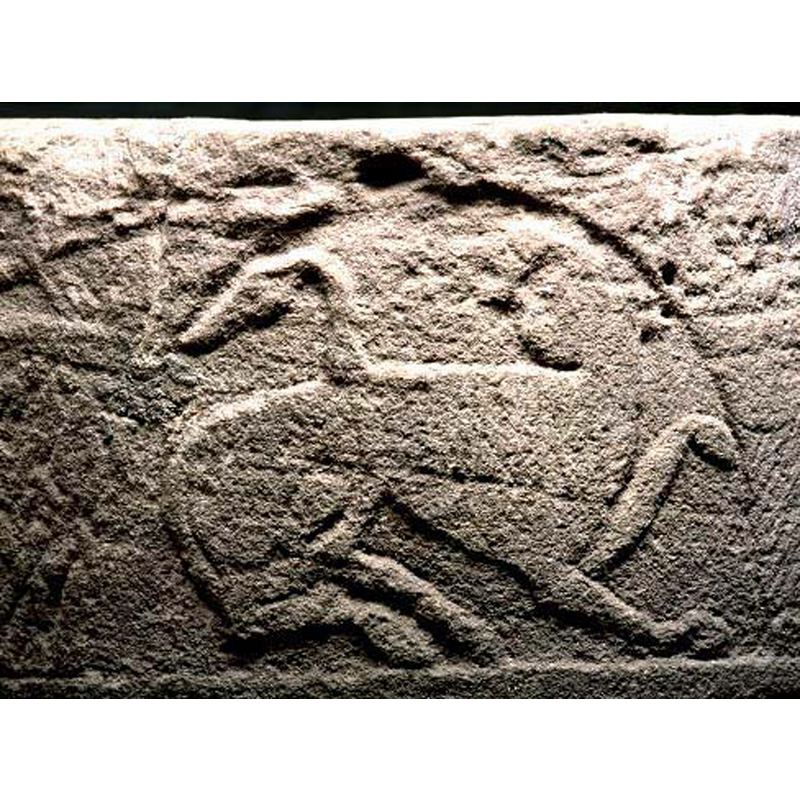 though much eroded, probably a lion, as identified in the SHM caption to this image