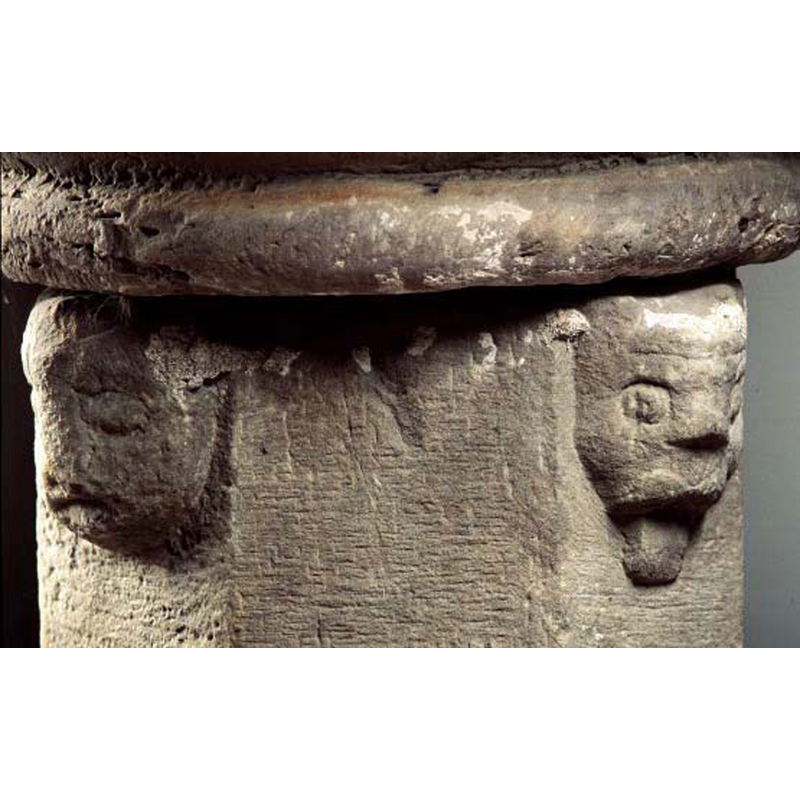 theae two heads appear to be of animals