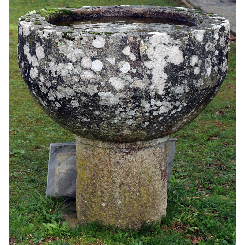 Main image for Bodano / Bodaño / San Mamede de Bodaño