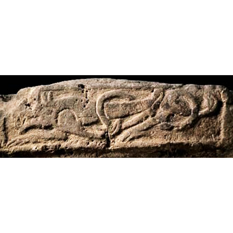 canine [wolf?] head, four legs and dragon-like looped tail; passant to the left