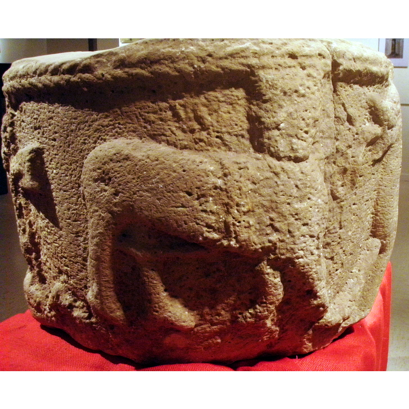 though mucr eroded the shape and position of the head suggest gardant