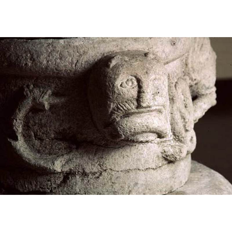 one of them bites the body of the dragon whose body weaves around the stem of the base