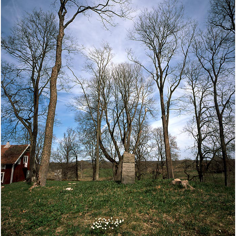 the stone in the centre of the image marks the site of the disappeared parish church of Brunnhem -- Source caption: " Brunnhems ödekyrkogård. Kyrkan revs på kunglig befallning år 1817. Foto från 2001"