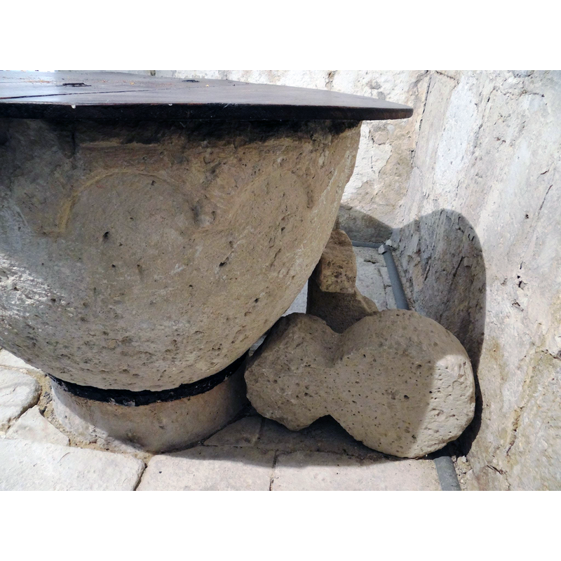 Main image for Minon / Mingon / Mingón / Miñón / Minon de Santibanez / Miñón de Santibáñez