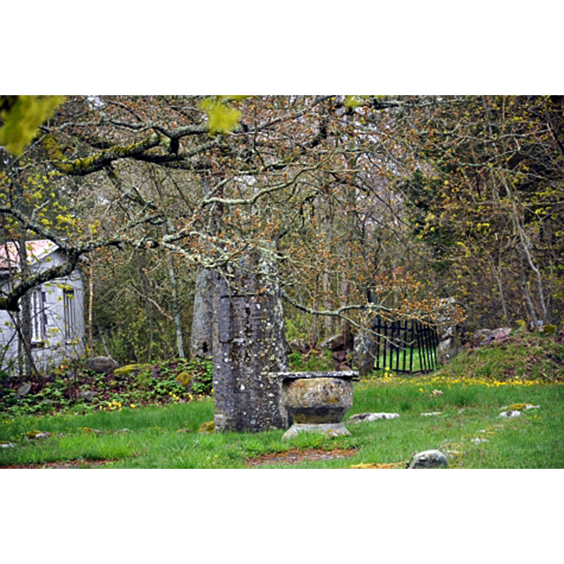 the old basin from the demolished church had been moved for a time to nearby Skarstad but it is now installed in the open air at the site of the demolished Hällums gamla kyrka -- Source caption: "En minnessten och den gamla dopfunten som står kvar på sin plats"