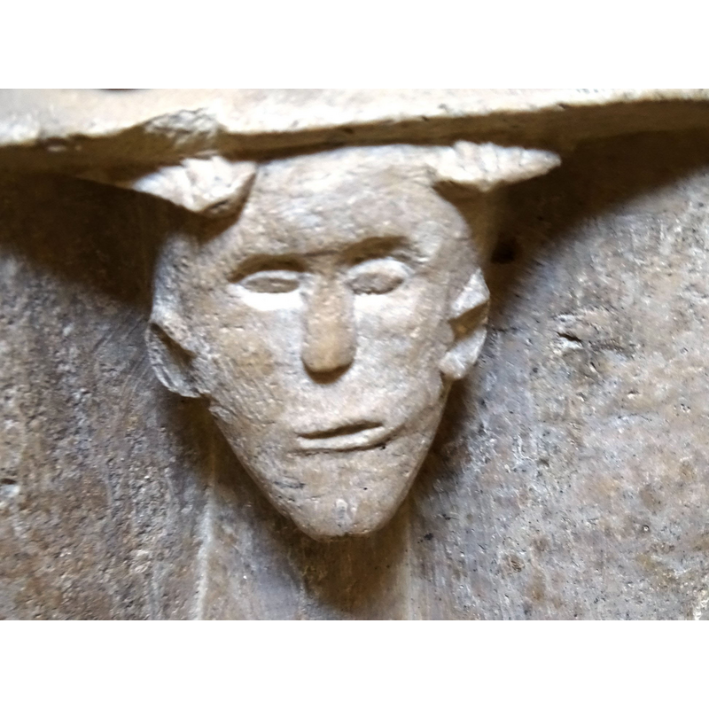 what are the protrusions on the sides of his forehead?