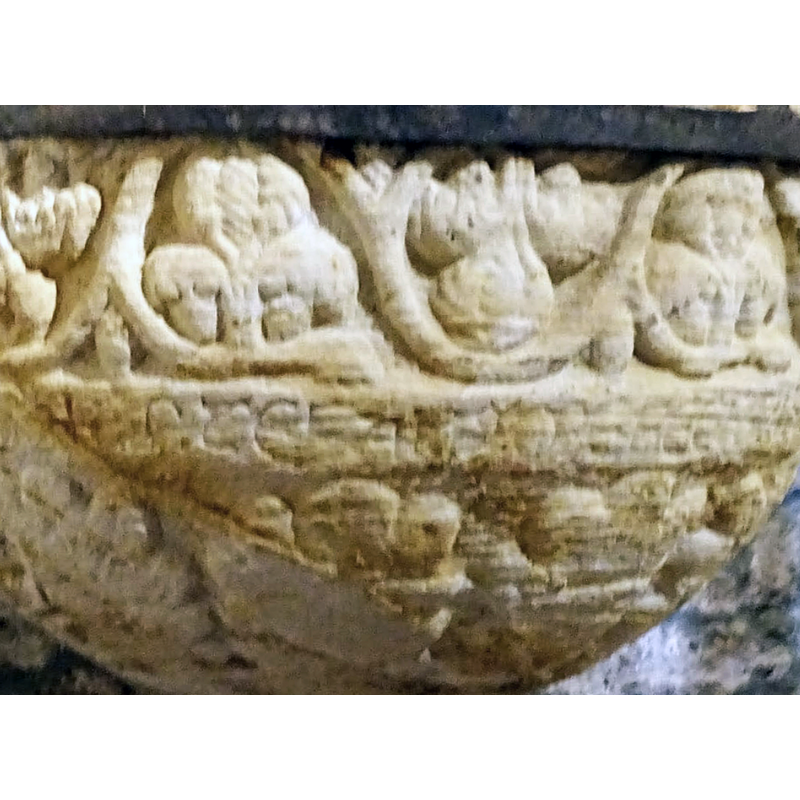 very large leaves, as above the inscription
