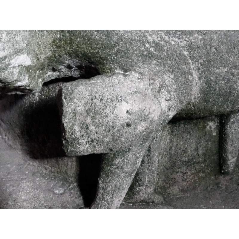 the head of the snake biting the shoulder of the lion
