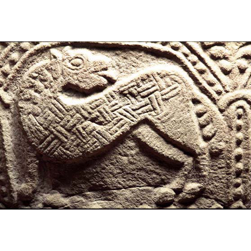 although all the animals on this font have some degree of patterning on their bodies, most of the patterns are located on their manes; on this animal there is a curly mane around the neck but the middle of the body is covered in a 2-strand interlace
