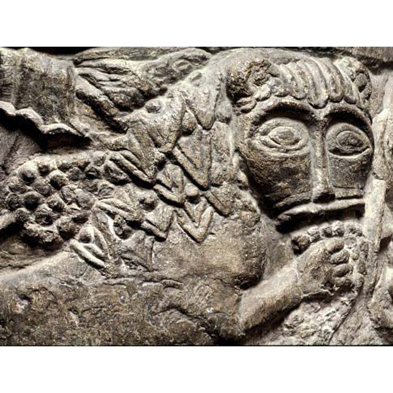 a detail of Image File No. 1201019019 -- the lion, in a passant-gardant pose appears to be eating a bunch of arum or grapes