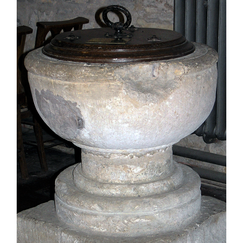 Main image for Low Catton / Catune / Catvne