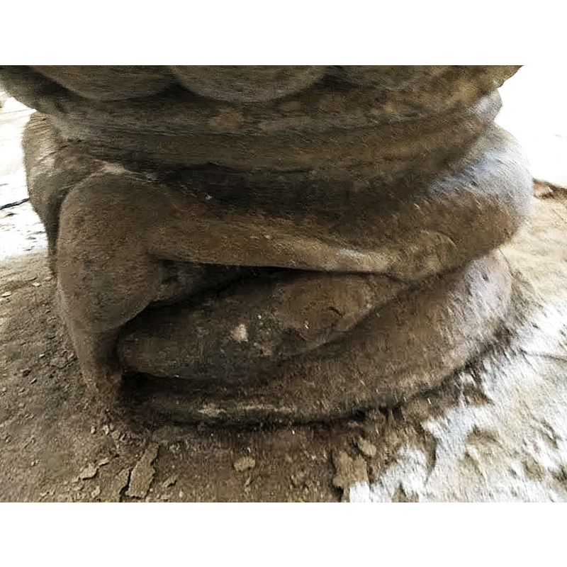 the tail of the snake goes between the hind legs of the lion