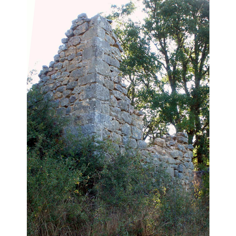 Main image for Ceniceros / Ceniceros del Rudron / Ceniceros del Rudrón / Serniceros