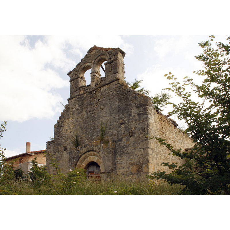 Main image for Andino