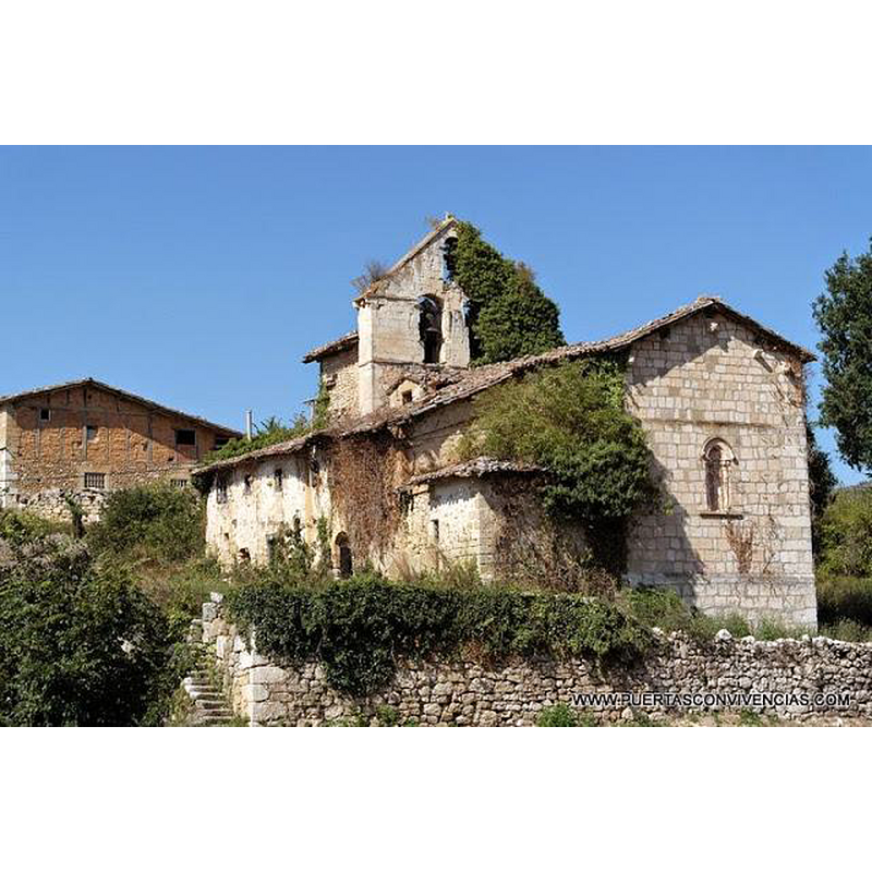 Main image for Arana
